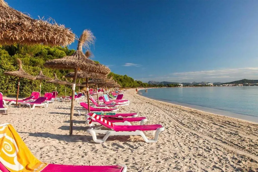 The Best Views In Alcudia - 7Th Floor Studio Alcudia (Mallorca)